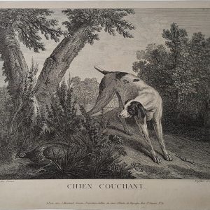 Claude Duflos Chien couchant