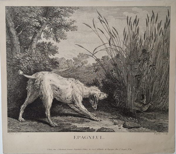 Claude Duflos Epagneul