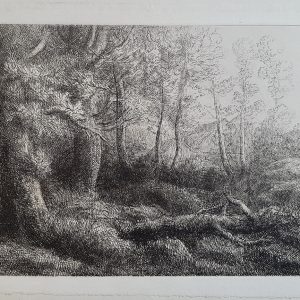 Alphonse Legros a woodland study
