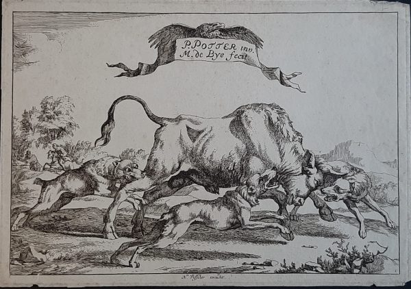 Marc de Bye Hunt with dogs