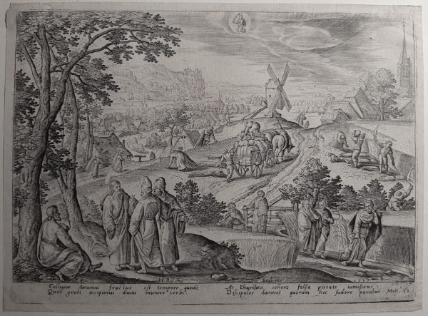 Adriaen Collaert mois aout