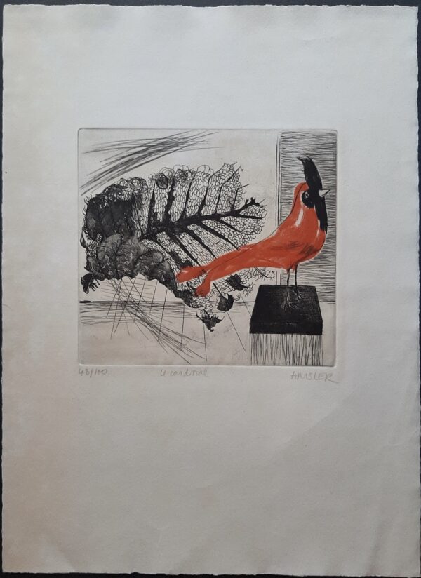 Amsler Marcelle Le Cardinal
